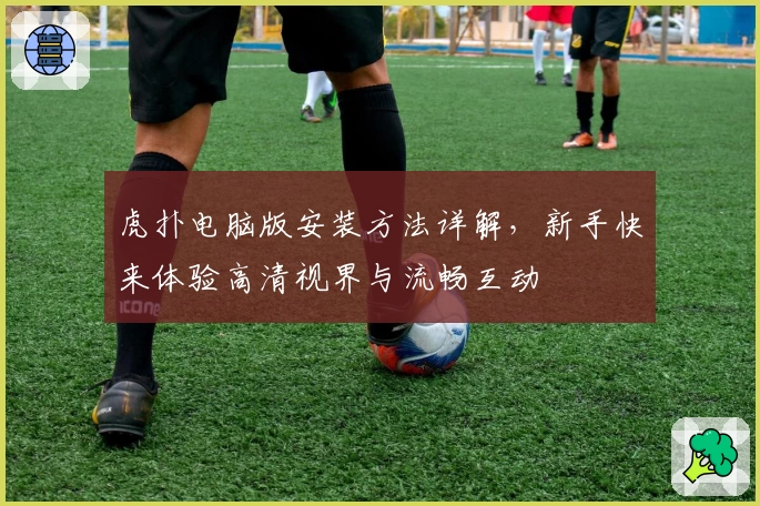 虎扑电脑版安装方法详解，新手快来体验高清视界与流畅互动