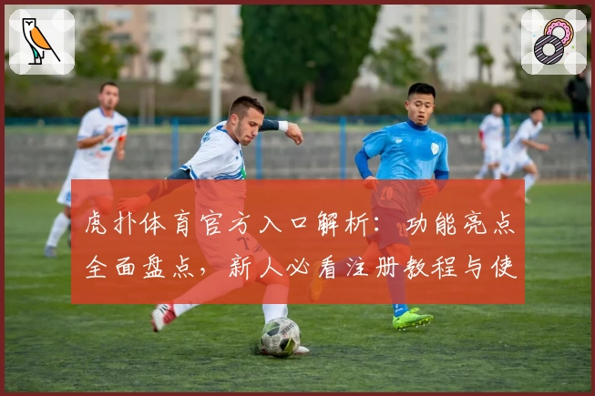 虎扑体育官方入口解析：功能亮点全面盘点，新人必看注册教程与使用指南